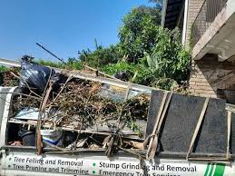 Types of Items We Remove From Your Property in Deforest, WI